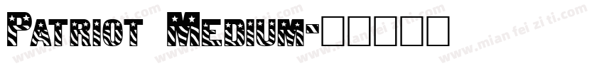Patriot Medium字体转换